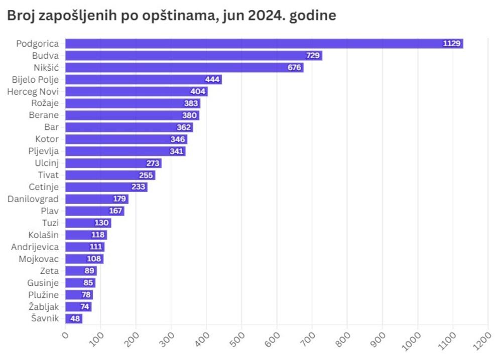 CIN grafici