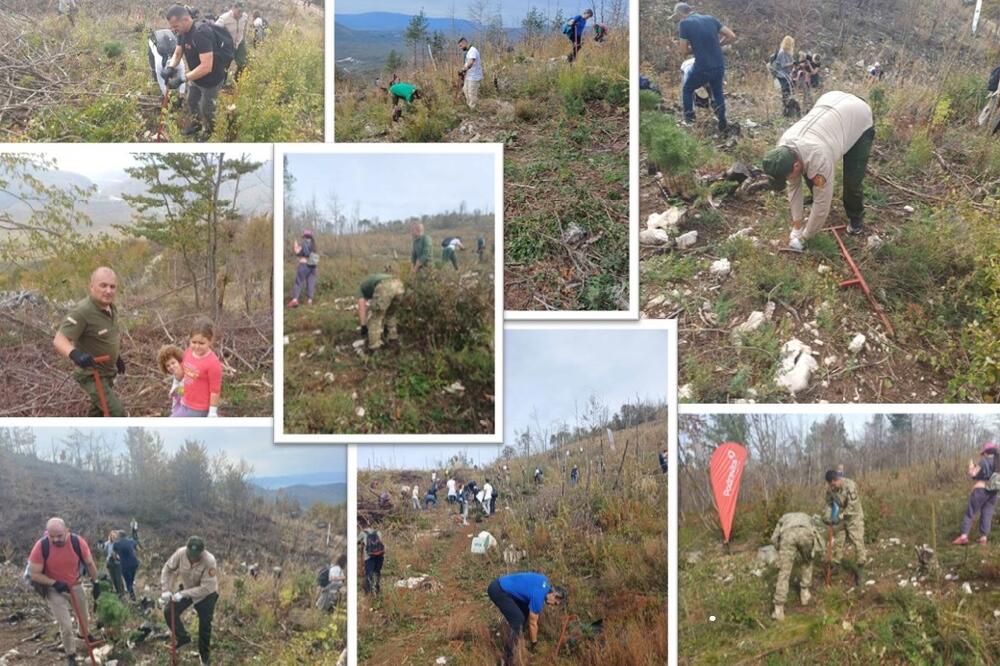 Foto: Uprava za gazdovanje šumama i lovištima