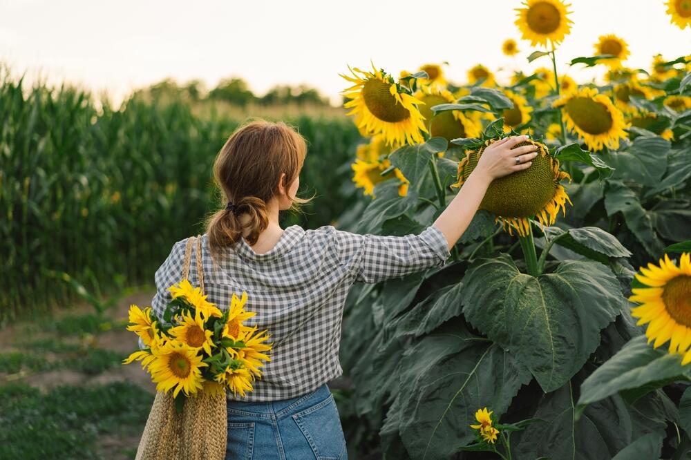 Ilustracija, Foto: Shutterstock