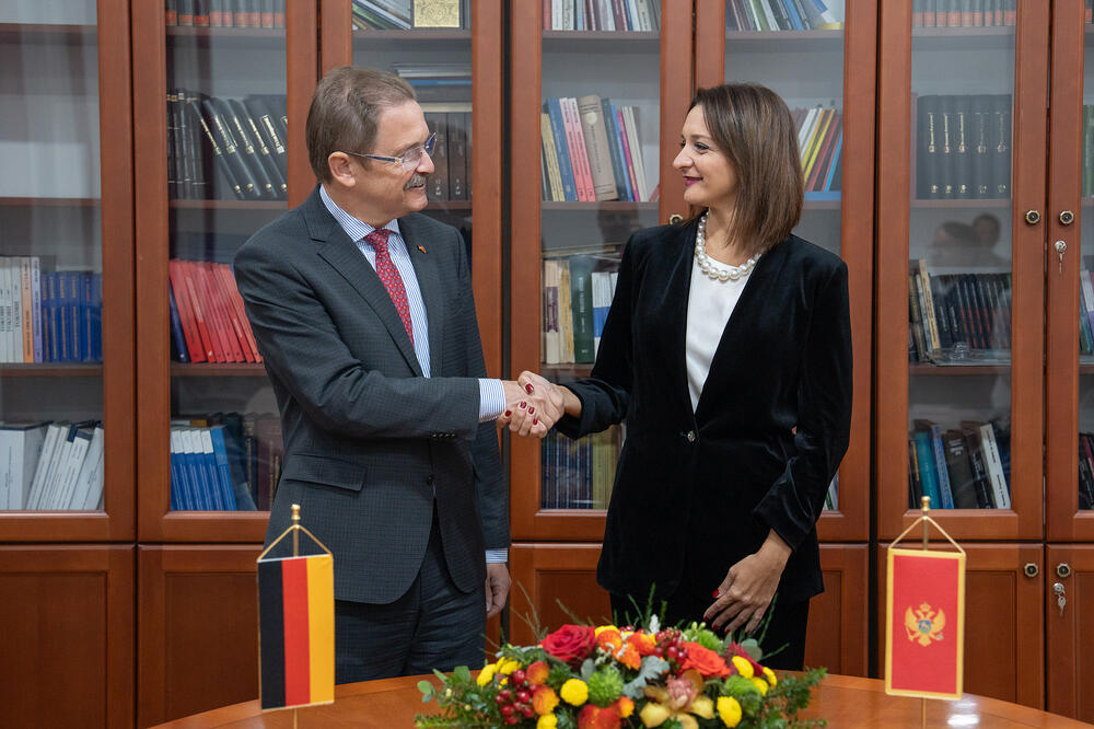 Felten i Armenko, Foto: Ustavni sud