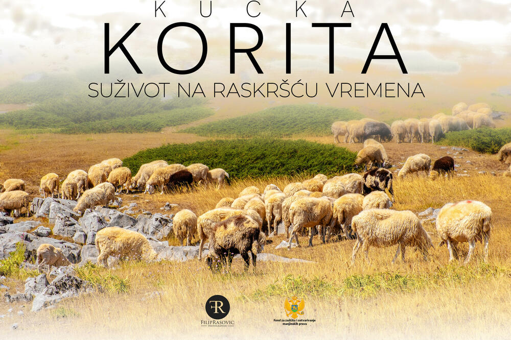 Poster, “Kučka korita: Suživot na raskršću vremena”, Foto: Promo