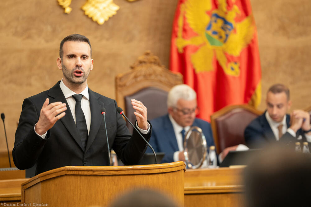 Od jula devet članova više: detalj iz parlamenta prilikom rekonstrukcije Vlade, Foto: Skupstina.me