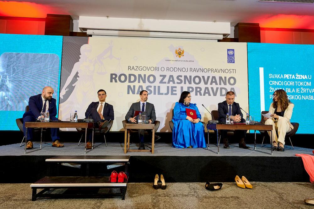 Sa konferencije, Foto: UNDP