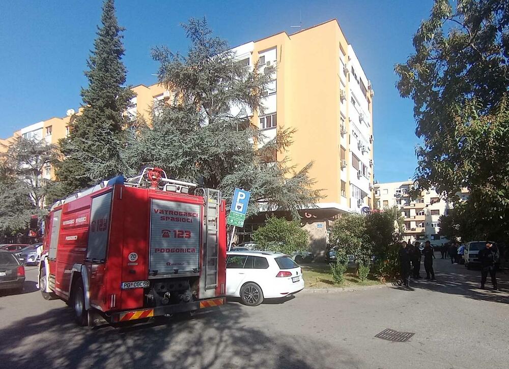 <p>Vlasnik "Gurmana" Ranko Radulović kazao je "Vijestima" da Centar za socijalni rad djeluje pod izuzećem</p>  <p>Kako bi se nastavilo iseljenje nadležne službe i policija, koja asistira u ovom izvršnom postupku, čekaju da reaguje Centar za socijalni rad budući da su u lokalu noć provela i djeca kao i tužilaštvo</p>