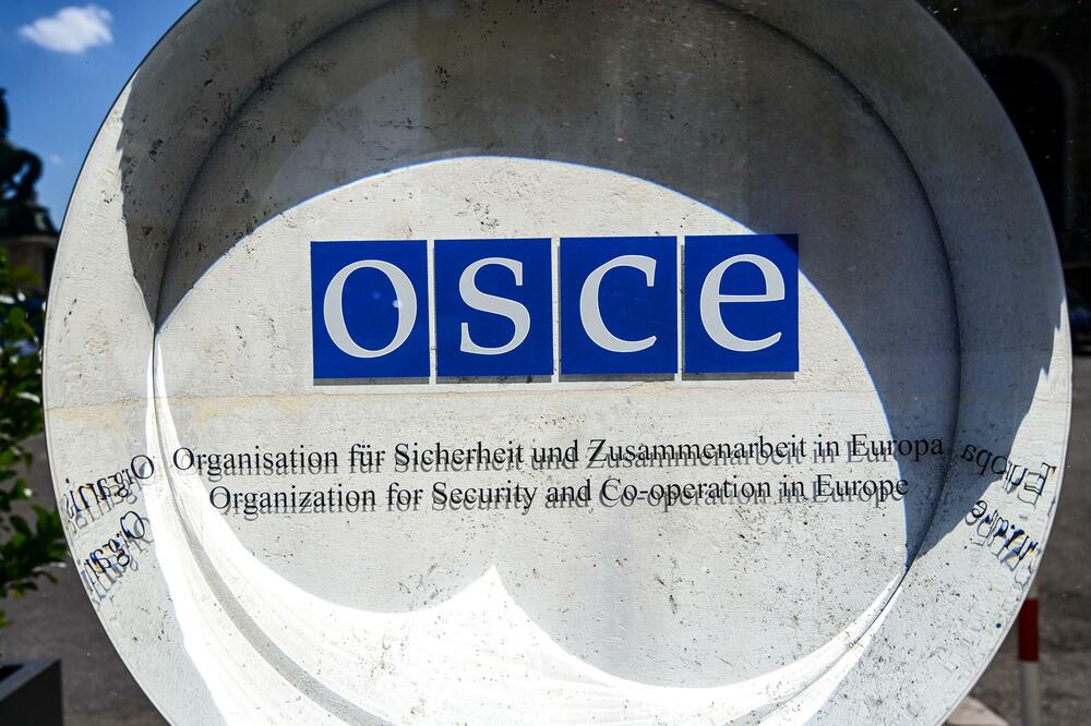 OEBS (Ilustracija), Foto: Shutterstock