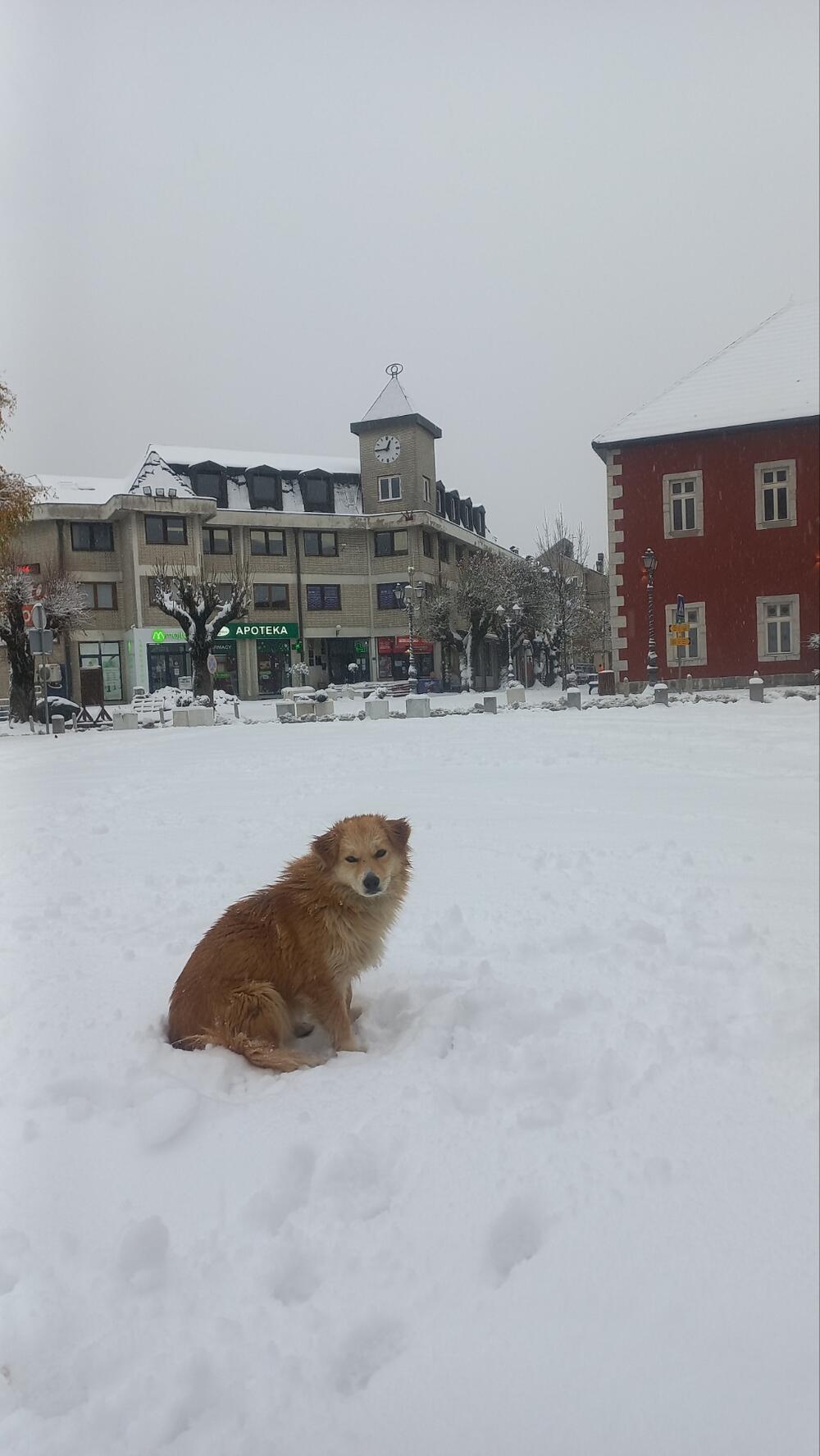 <p>Iz Zavoda za hidrometeorologiju i seizmologiju su najavili da će u planinskim oblastima na sjeveru biti susnježice i snijega</p>