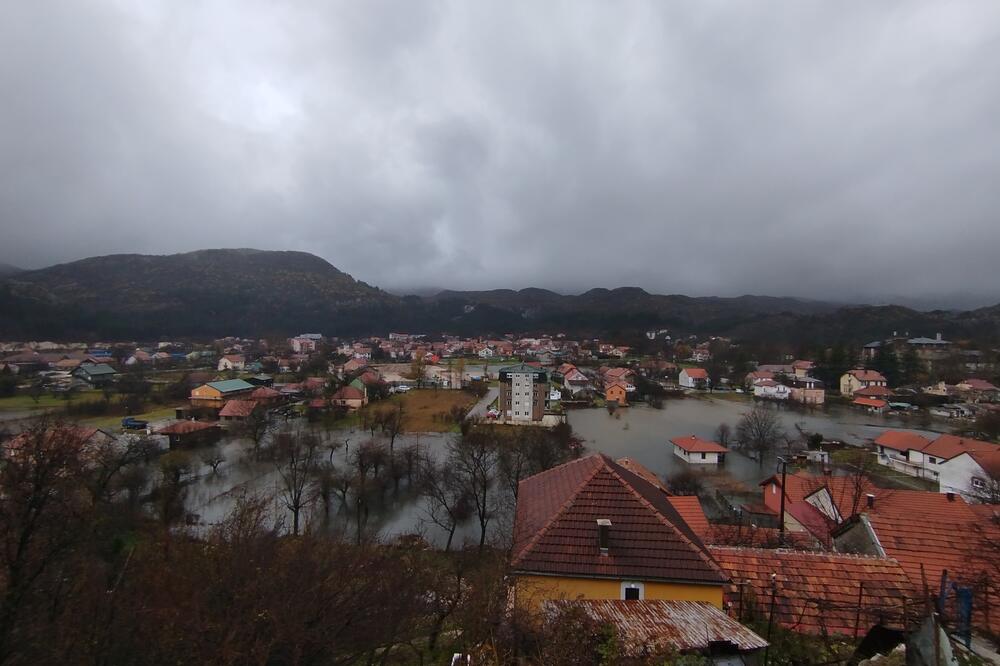 Foto: Željko Vuksanović