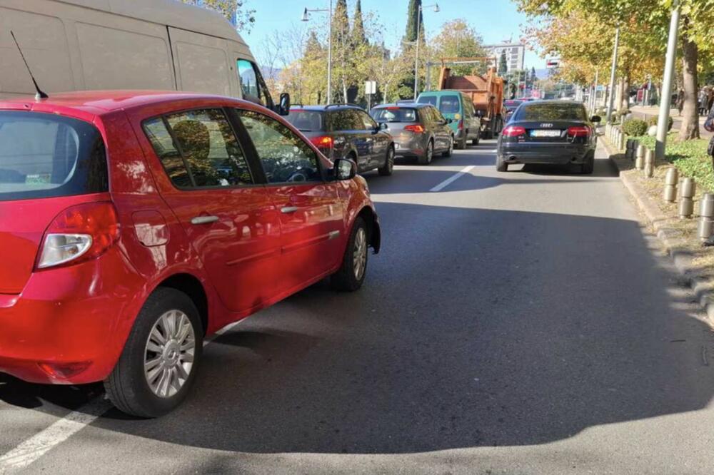 Fotografija koju je dostavilo Ministarstvo poljoprivrede, šumarstva i vodoprivrede, Foto: MPŠV