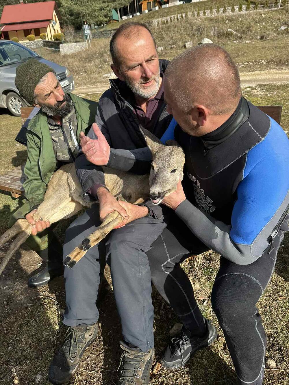 <p>Srna je smještena u sklonište, pregledaće je veterinar</p>