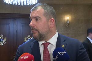 Krapović: Uhapšeni pripadnici Vojske na Kosovu nijesu učinili...