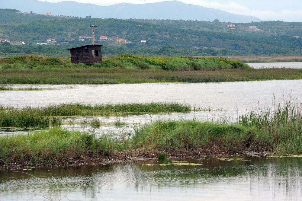 Ulcinjska solana (arhiva/ilustracija), Foto: Savo Prelević