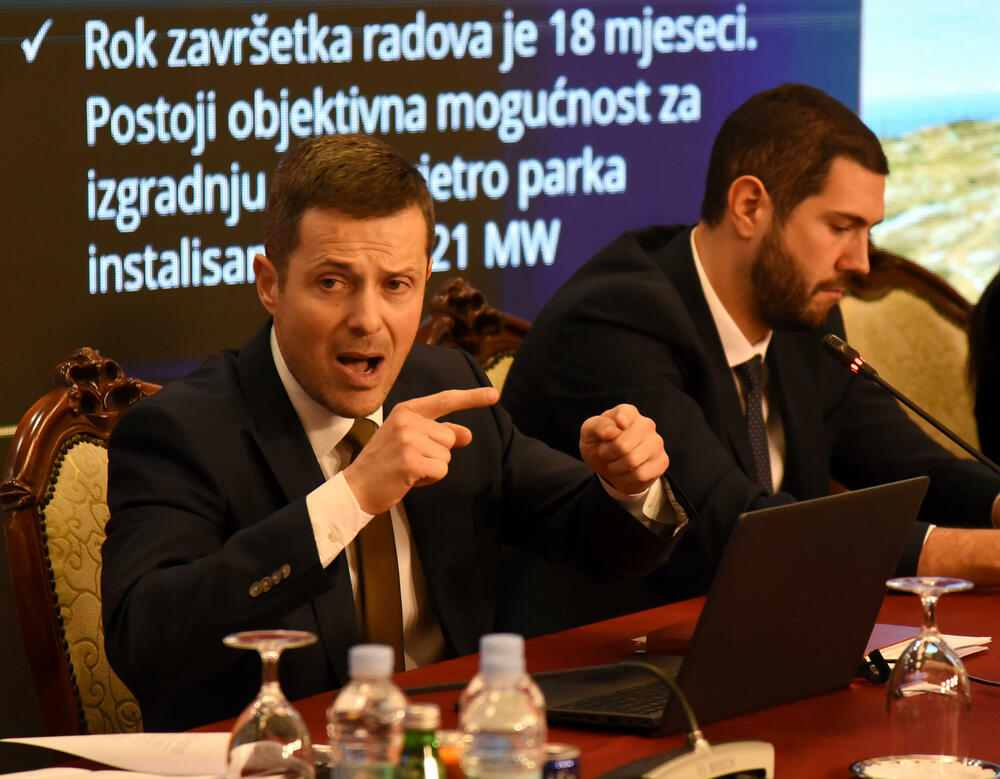 <p>Ministarstvo energetike poslalo nacrt nacionalnog klimatskog plana na mišljenje Energetskoj zajednici</p>  <p>Ministar Saša Mujović istakao da za ostvarenje ciljeva iz plana treba 1,1 milijarda eura i to je veliki novac za državu zbog čega se traži razumijevanje za to da je rok koji je postavljen do 2030. godine je nerealno da bude ostvaren</p>  <p>Mujović pojasnio da je tražen rok za TE do 2041. godine kako bi se ostavilo državi vrijeme da izgradi druge energetske projekte</p>