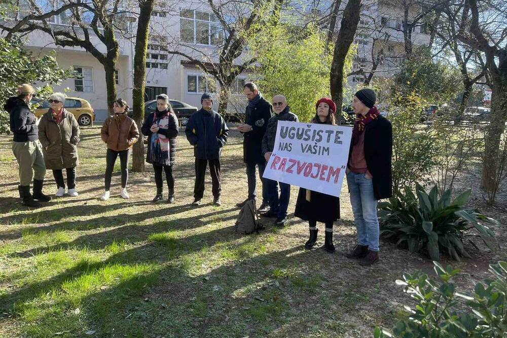 Građani protestima čuvali stabla od sječe u Podgorici, Foto: Luka Marsenić