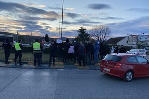 Protest građana na Cetnjiskom putu: Traže da "Plantaže" dokažu...