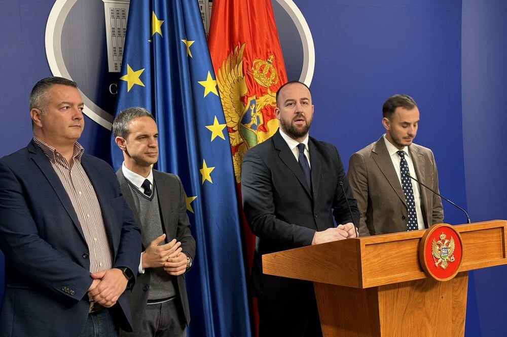 Nikolić govori na konferenciji, Foto: Aljoša Turović