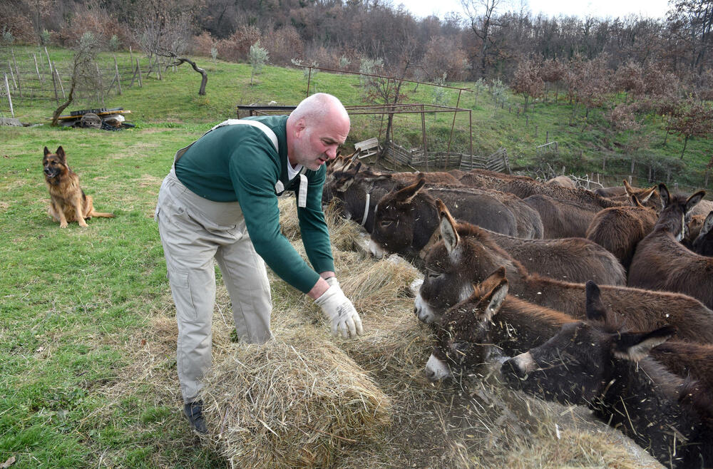 <p>“Farma” u danilovgradskom selu obilježiće uskoro deset godina.</p>  <p>U tih deset godina stalo je mnogo: od dva, farma je narasla u stalni dom za oko 70 magaraca, mnogo ih je koji su tu rođeni i srećno su udomljeni negdje širom Crne Gore.</p>  <p>Sa “Farme” je “izašlo” 11 naučnih i drugih radova - diplomskih, doktorata, magistratura..., a bilo je prosidbi, turista iz cijelog svijeta svih profesija</p>