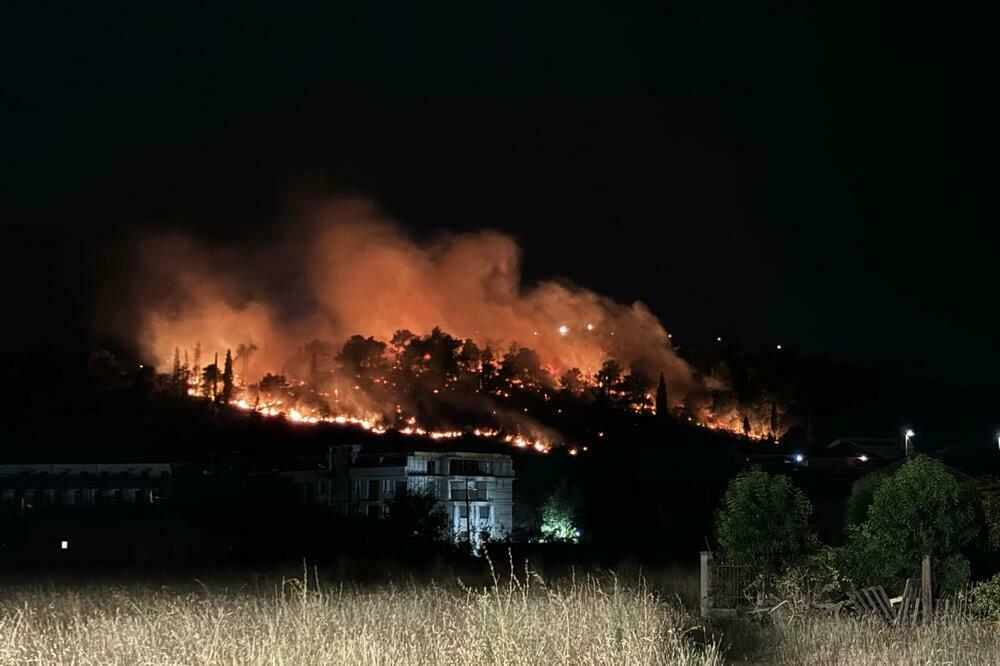 Ljetošnji pozar u Podgorici na brdu Gorica, Foto: Jelena Kočanović