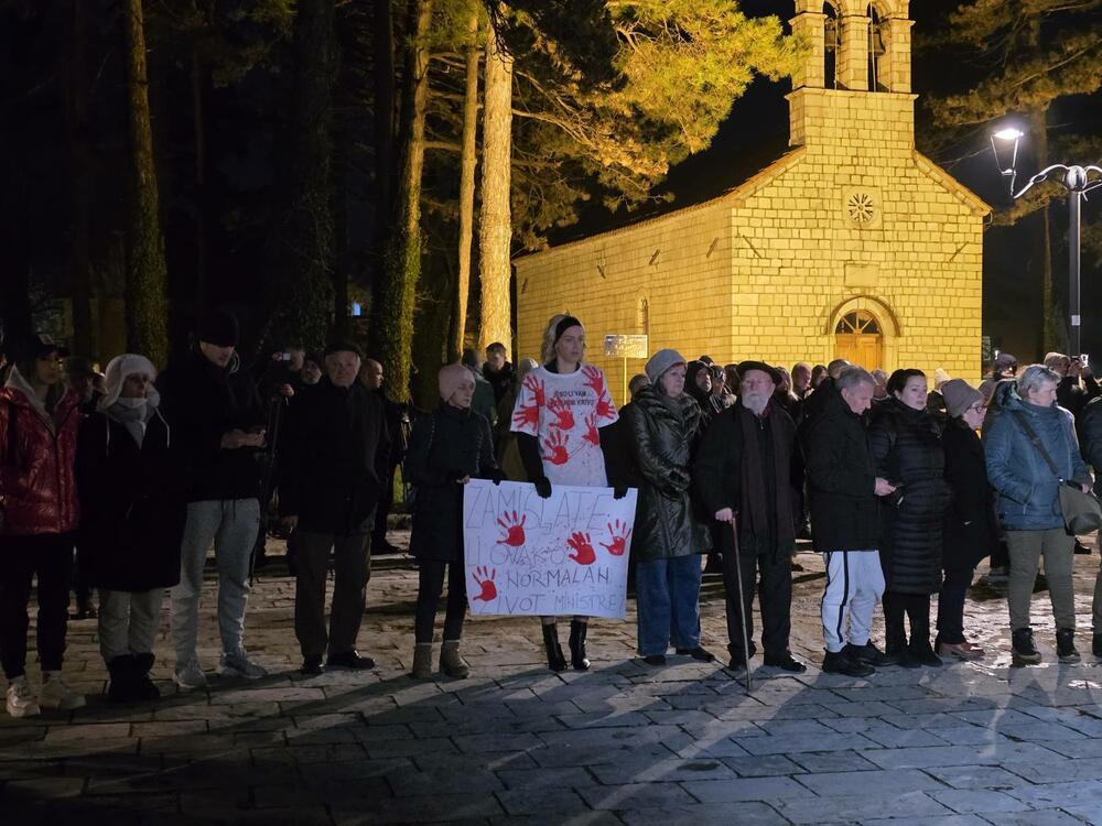 <p>Neformalna grupa studenata "Kamo sjutra?" organizovala je danas okupljanje na Cetinju i protest u Podgorici koji je zakazan za 19:30, povodom tragedije u kojoj je 1. januara u Prijestonici ubijeno 12 osoba</p>