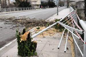 Dragićević objavio: Jak vjetar oborio topolu na most Braće...